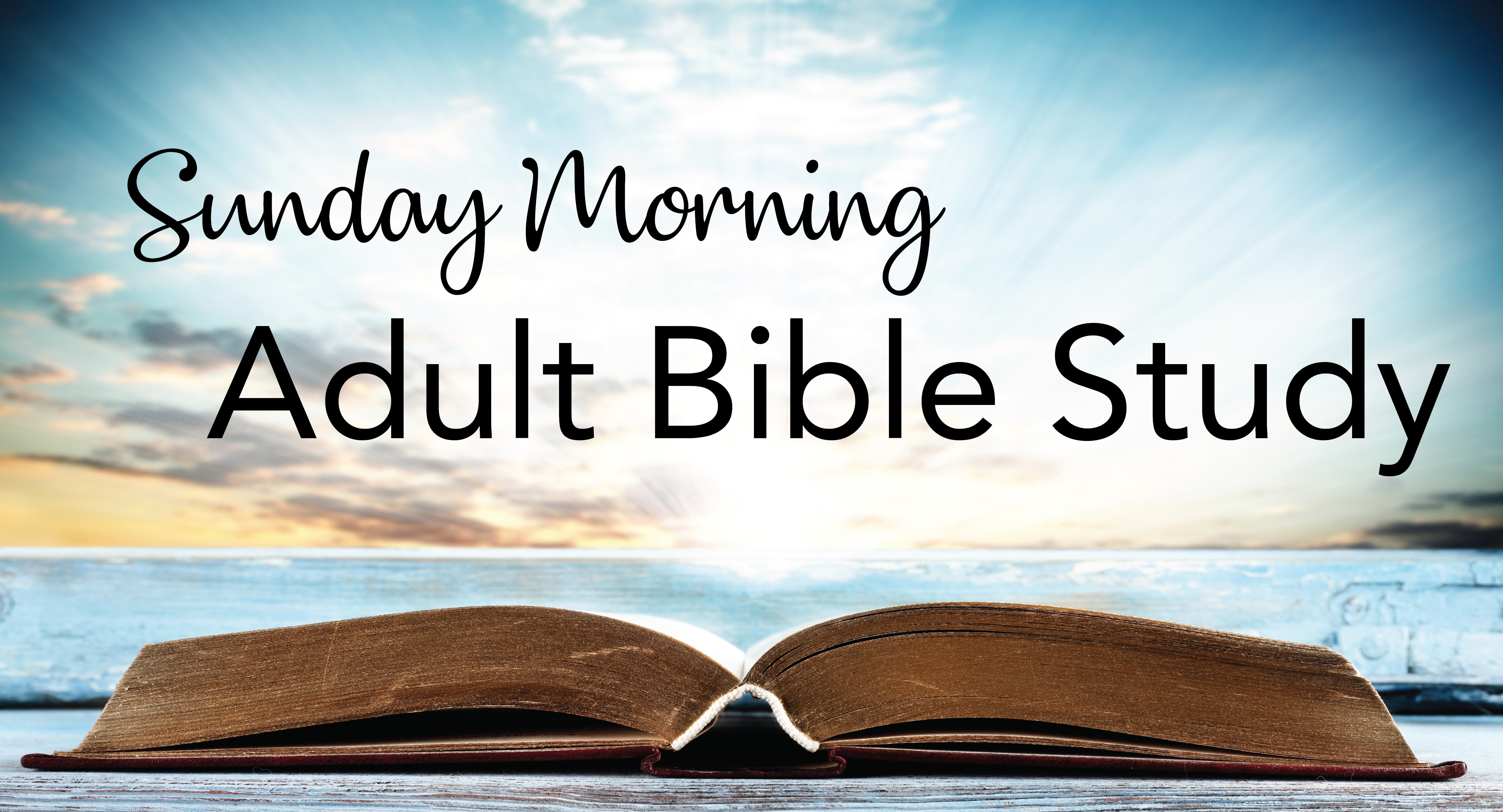 sun bible study-01.jpg